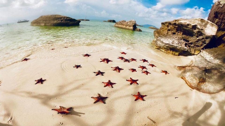 Phu Quoc: Kayaking With Starfish Beach and Bee Farm Tour - Tour Highlights