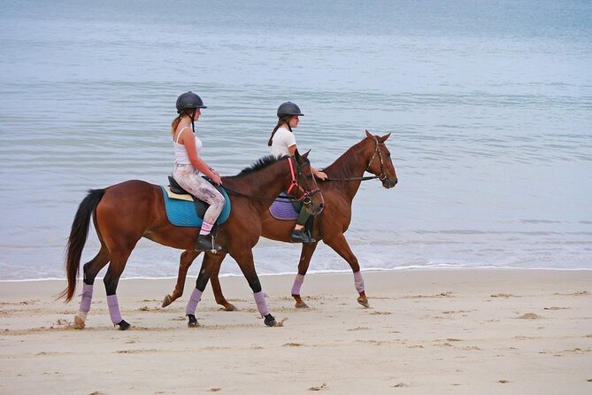 Phuket Beach and Horse Rides 1 Hour Experience - Booking and Pricing Details