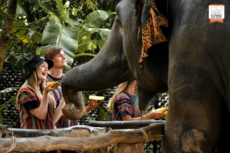 Phuket: Elephant Jungle Sanctuary Ethical Feeding Experience - Experience Highlights