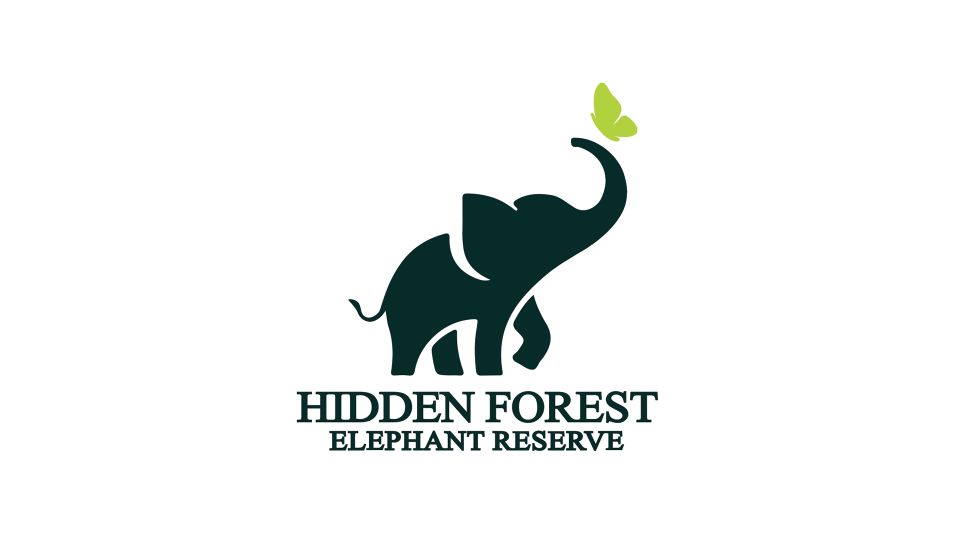 Phuket: Hidden Forest Elephant Reserve With Lunch & Transfer - Experience Highlights