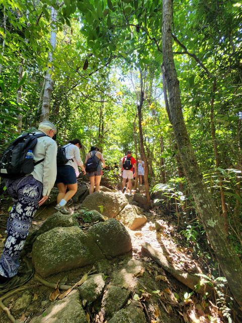 Phuket Lookouts Tour With Lunch at Organic Farm - Tour Experience Overview