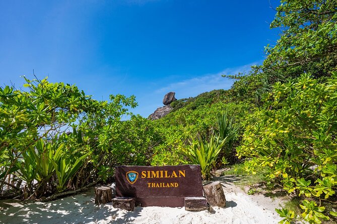 Phuket to Similan Islands Snorkeling Tour - Meeting and Pickup Details