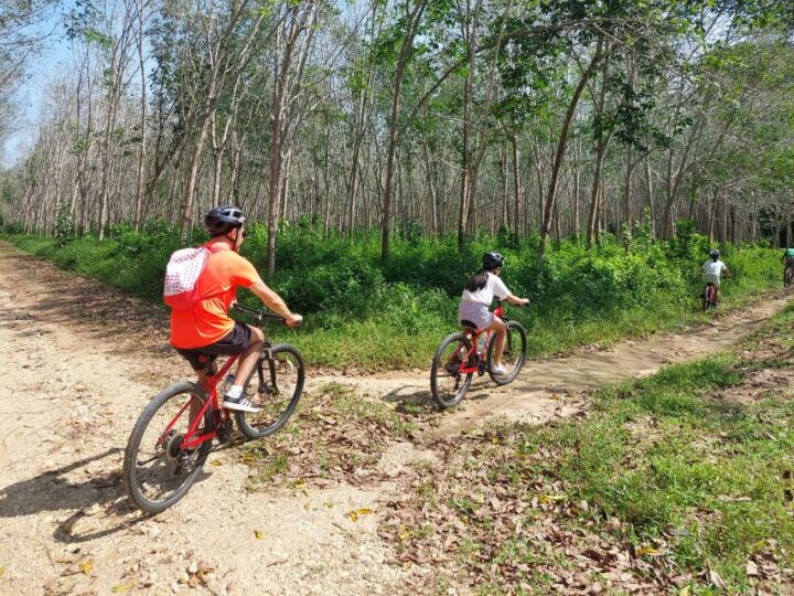 Phuket's Hidden Trails Biking Adventure Small-Group Tour - Experience Highlights