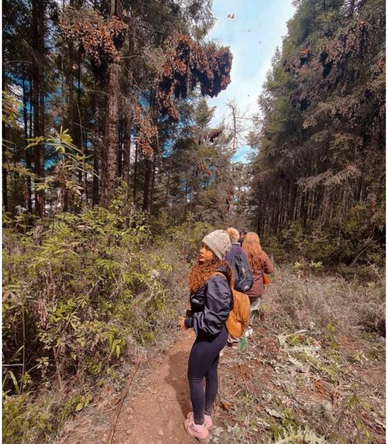 Piedra Herrada Sanctuary, State of Mexico - Book Tickets & Tours - Location and Accessibility Information