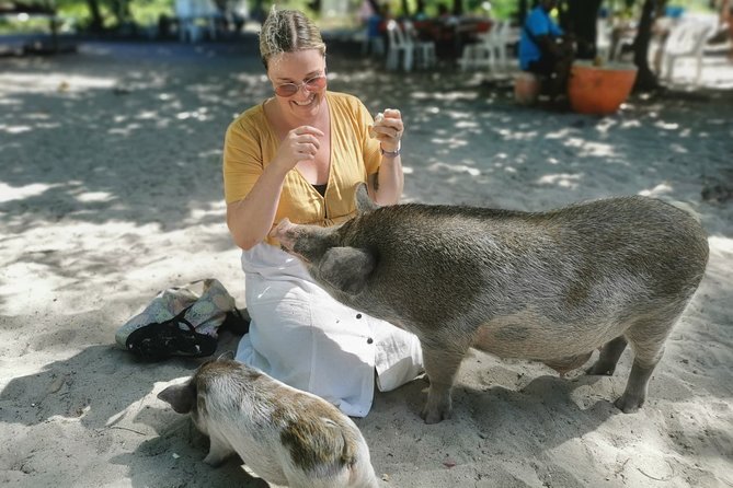 Pig Feeding, Kayaking, Snorkeling Trip at Pig Island By Speedboat From Koh Samui - Customer Reviews and Feedback