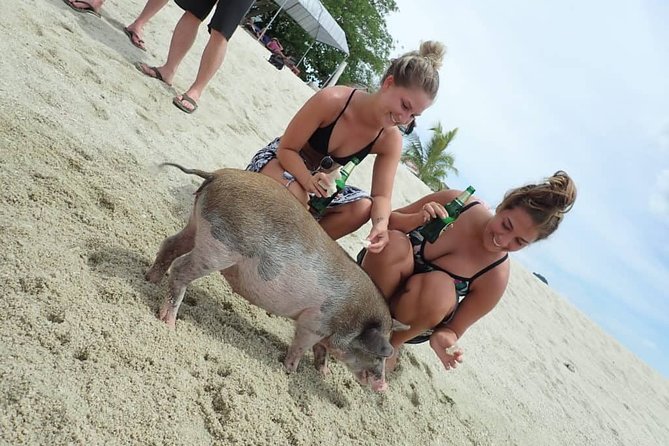 Pig Island Private Longtail Boat Trip From Koh Samui - Cancellation Policy