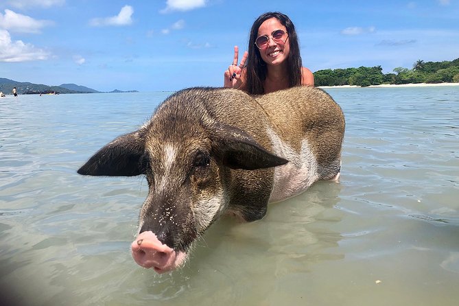 Pigs Island Exclusive Semi VIP - Booking and Cancellation Policies