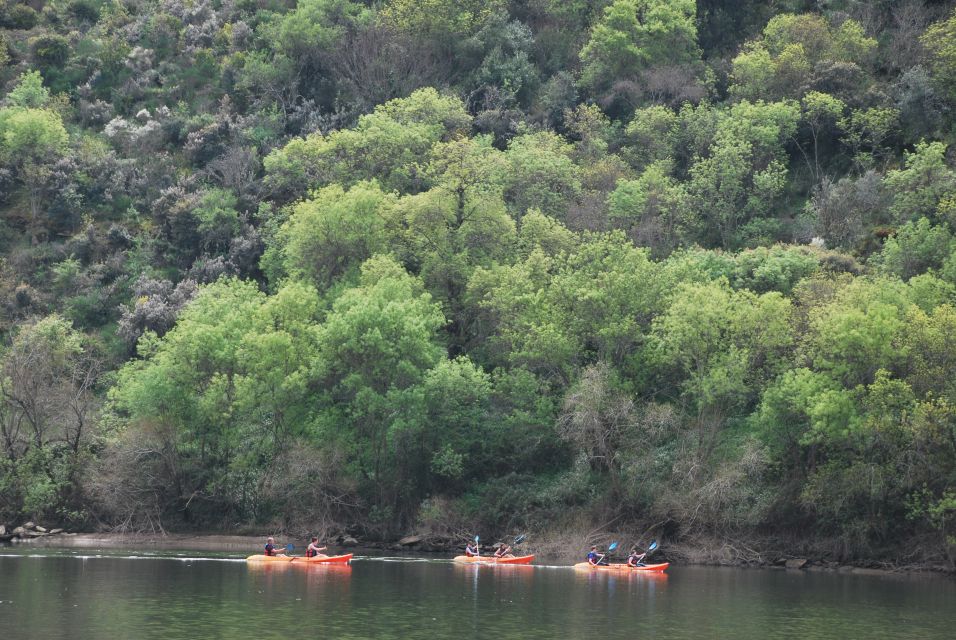 Pinhão: 4 Hour Douro Valley Kayak Rental - Participant Information