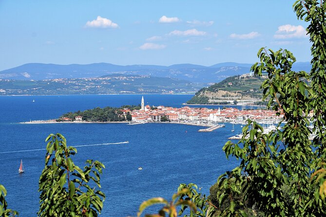 Piran and Coastal Towns Half-Day Small-Group Tour From Trieste - Traveler Experiences