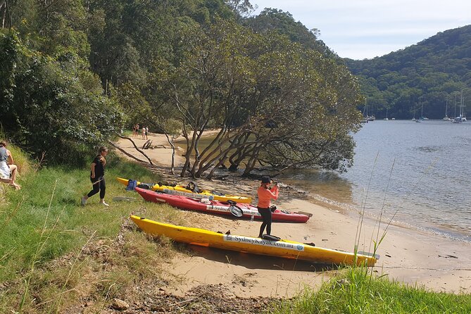 Pittwater Lunch Paddle With Waterfall Bush Walk - Itinerary Details