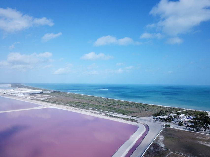 Playa Del Carmen/Cancún: Rio Lagartos & Las Coloradas Tour - Experience