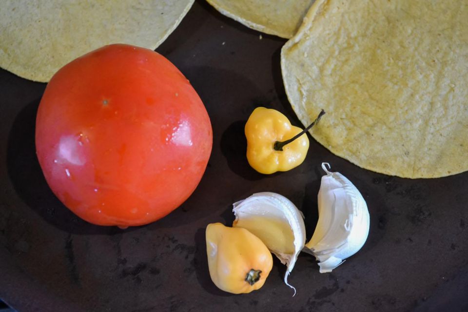 Playa Del Carmen: Isa'S Authentic Mexican Cooking Class - Experience