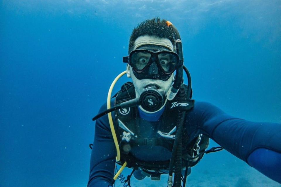 Playa Del Carmen: Try Scuba Diving - Experience Highlights of the Dive