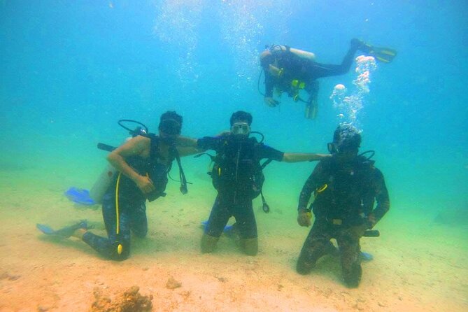 Pleasure Scuba Diving in Fujairah for Certified Diver - Certification Requirements