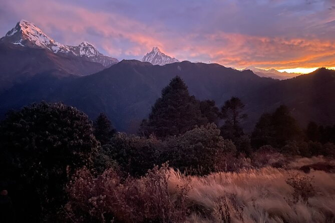 Pokhara: 4 Days Poon Hill Trek via Ghandruk Village - Poon Hill Sunrise Experience