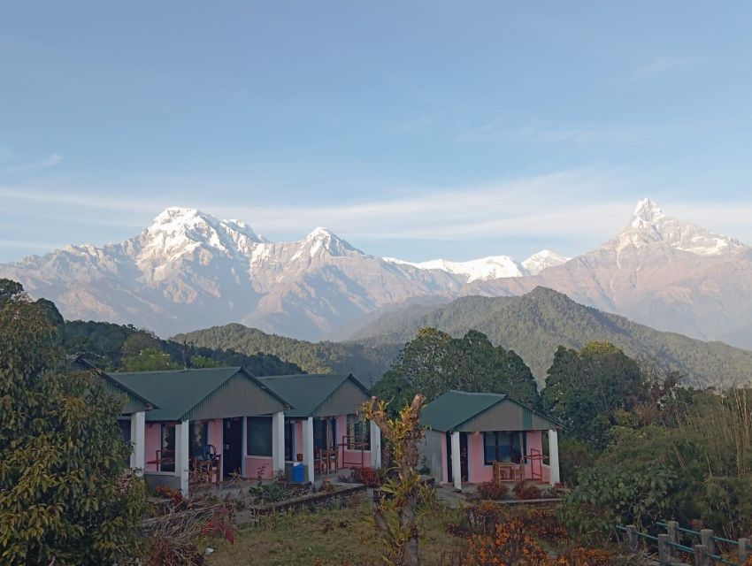 Pokhara: Guided Day Hike From Dampus To Australian Base Camp - Immerse in Traditional Nepali Village Life