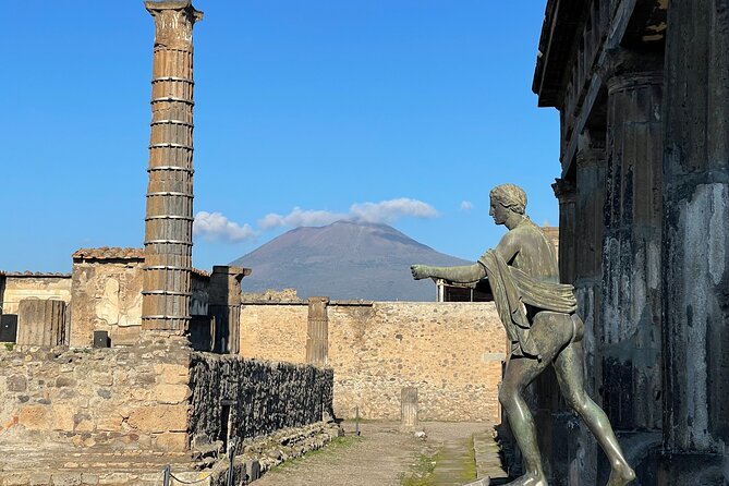 Pompeii Guided Tour With Lunch and Wine Tasting From Positano - Exclusions