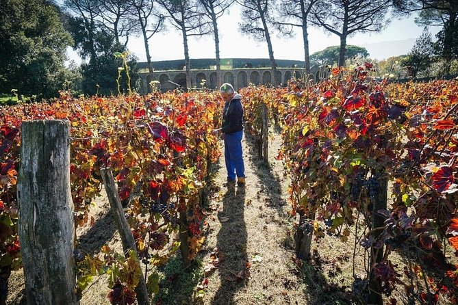 Pompeii Tour Wine & Food Tasting at Mt. Vesuvius - Tour Overview