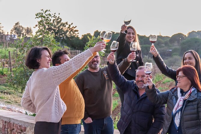 Porches Algarve Vineyard Tour and Wine Tasting Experience - Booking Information