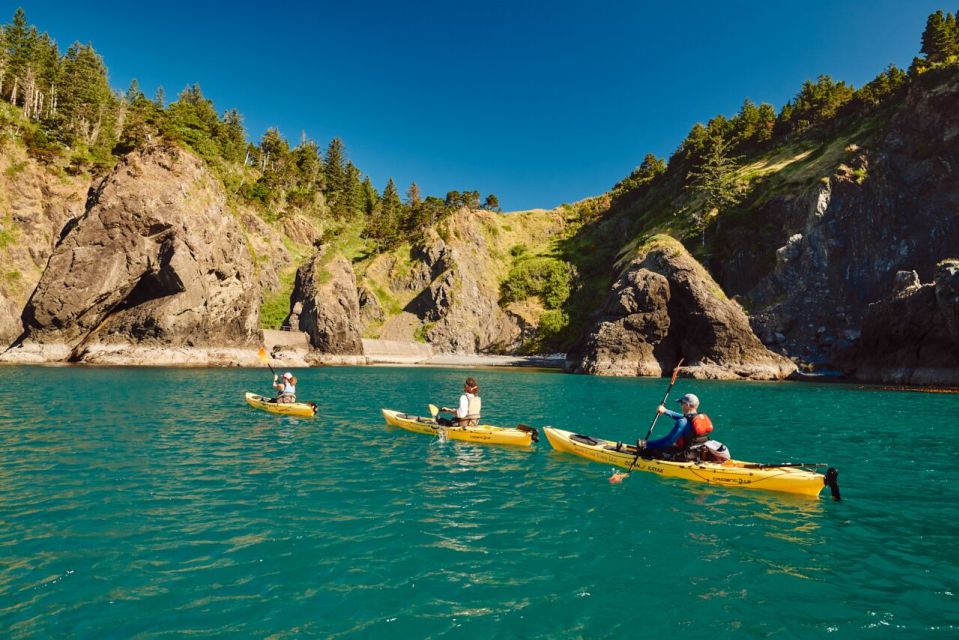 Port Orford: Kayak Tour to Orford Heads With Gear - Booking Information
