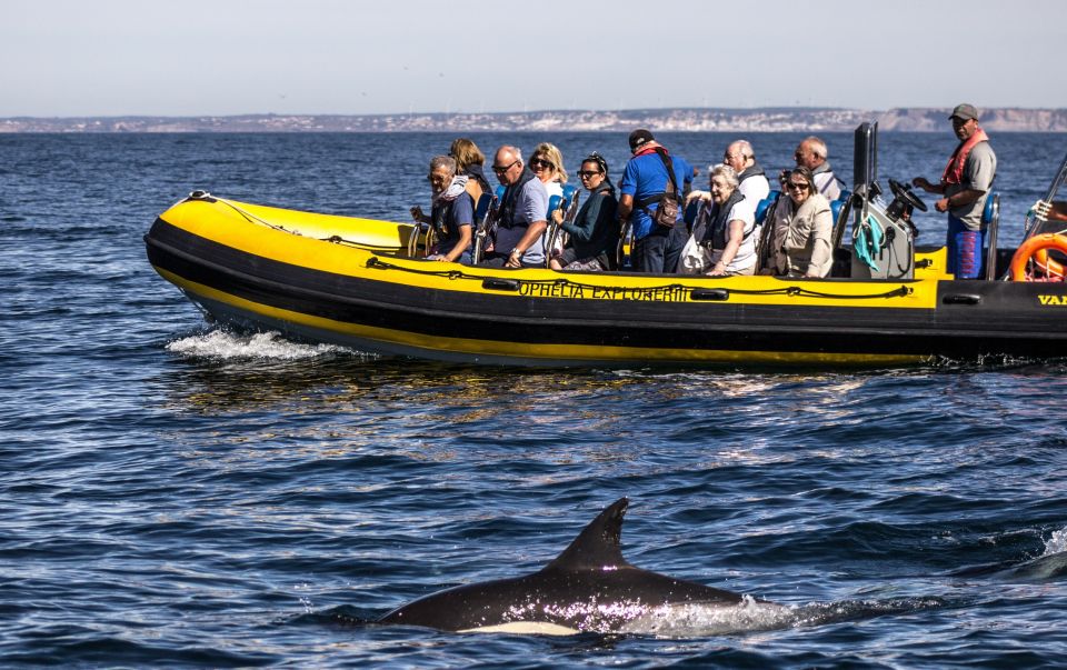 Portimão: 2-Hour Dolphin Watching Boat Tour - Languages Spoken and Departure Point