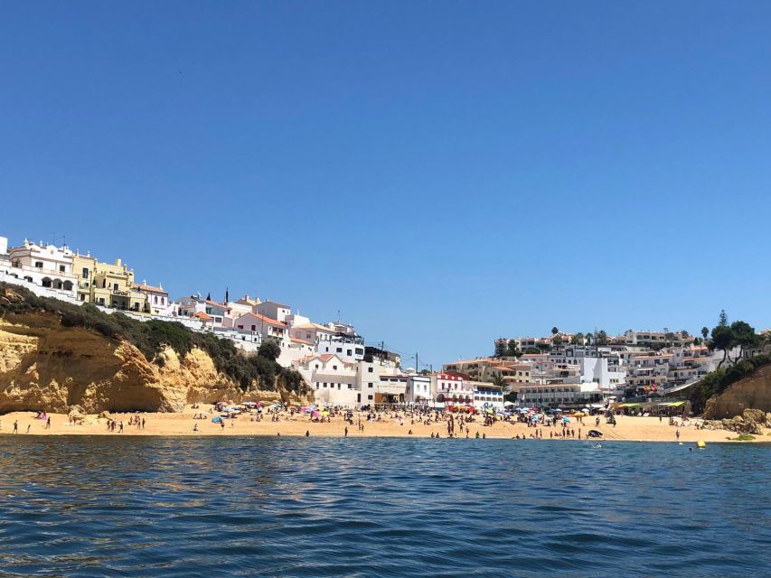 Portimão: Dophin Watching on the Algarve Coast - Inclusions