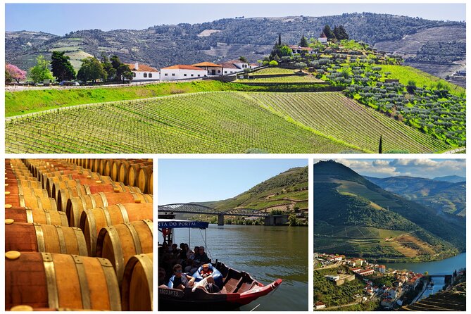 Porto Douro Valley Full-Day Wine Tasting, River Cruise and Lunch - Visitor Experiences and Feedback