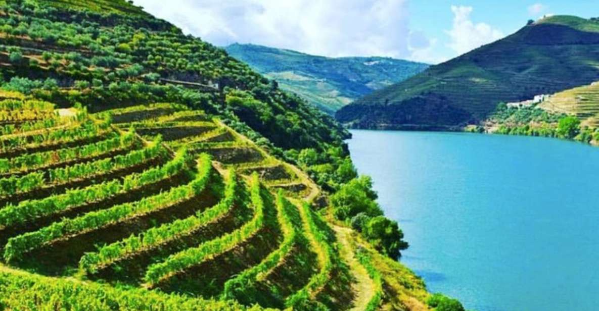 Porto: Douro Valley Guide, 3 Wine Tastings, Lunch, Cruise - Lunch Experience in Porto