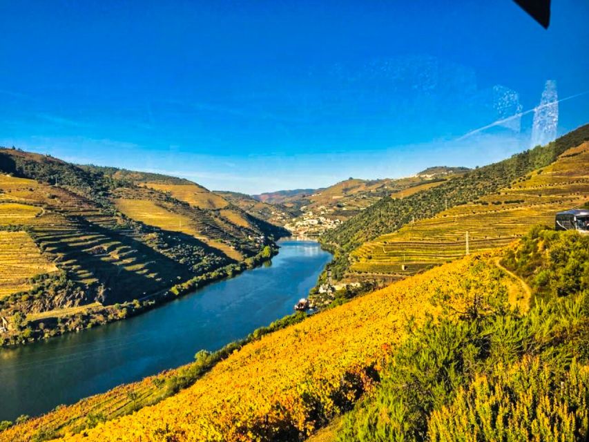 Porto: Douro Valley Tour With 3 Wineries & Lunch - Winery Experiences
