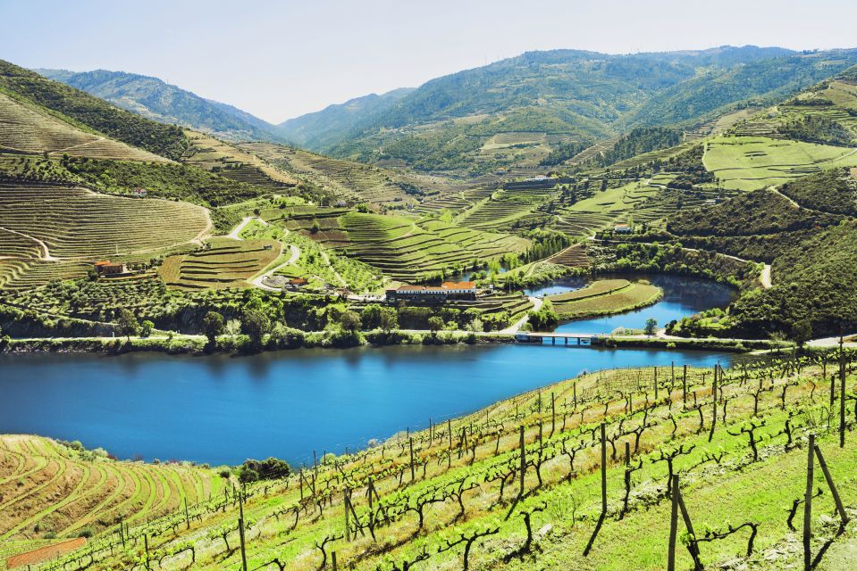 Porto: Douro Valley Wine Tour With Lunch - Pickup Details