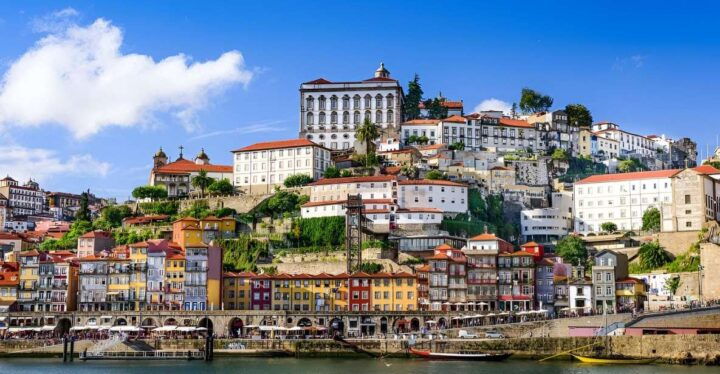 Porto Historical Center Private Walking Tour - Tour Highlights