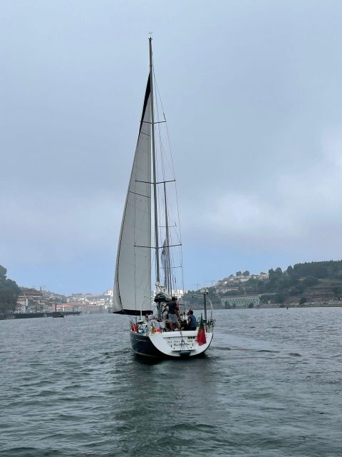 Porto: The Best Douro Boat Tour - Activity Details