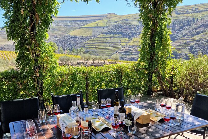 Porto to Douro Valley Small Group Wine Tasting Tour With Lunch - Tour Highlights