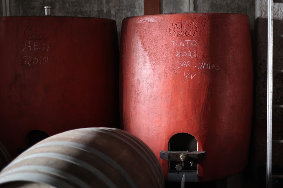 Portugal: Dao Winery Tour, Barrel Tasting and Wine Tasting - Participant Information