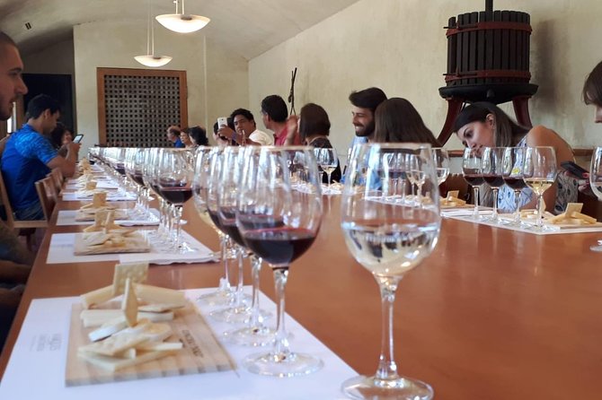 Premium Concha Y Toro Winery Tour With Wine and Cheese Tastings From Santiago - Educational and Enjoyable Aspects of the Tour