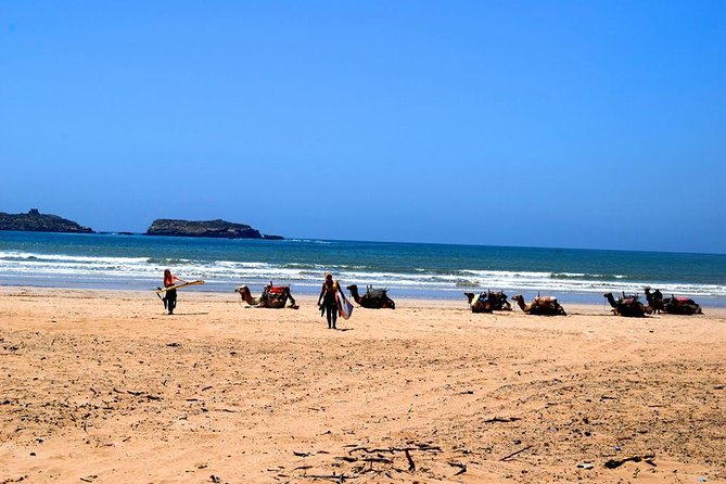 Premium Surf Trip to Essaouira From Marrakesh - Pickup Details