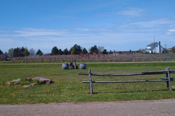 Prince Edward Island Mead, Cider, and Wine Private Tour  - Charlottetown - Tour Inclusions and Highlights