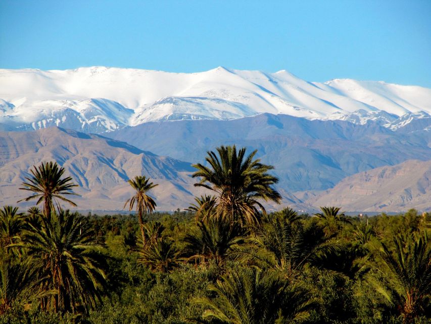 Private 11-D Highlights of Northern Morocco and the Desert - Booking Information