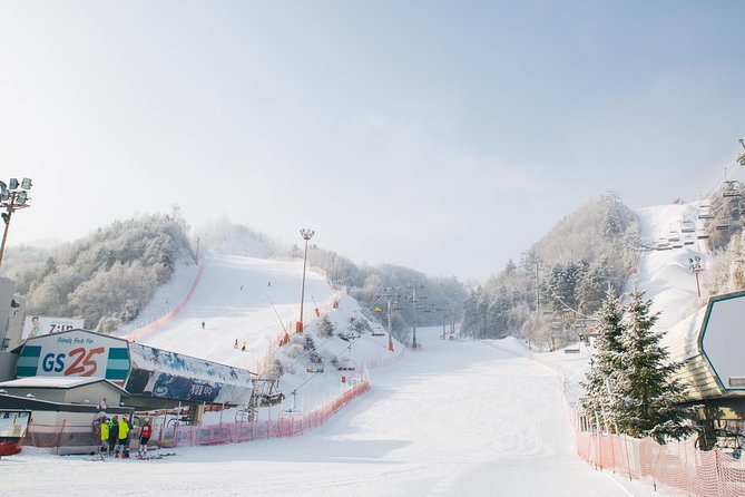 Private 1:1 Ski Lesson Near Seoul, South Korea - Booking Information