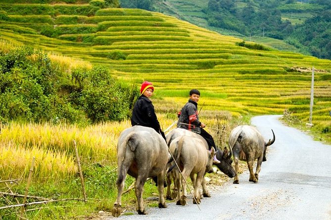 Private 3-Day Trek With Homestay Accommodation and Meals, Sapa  - Hanoi - Accommodation and Meal Details