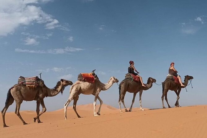 Private 3 Days Desert Tour From Fes to Marrakech - Last Words