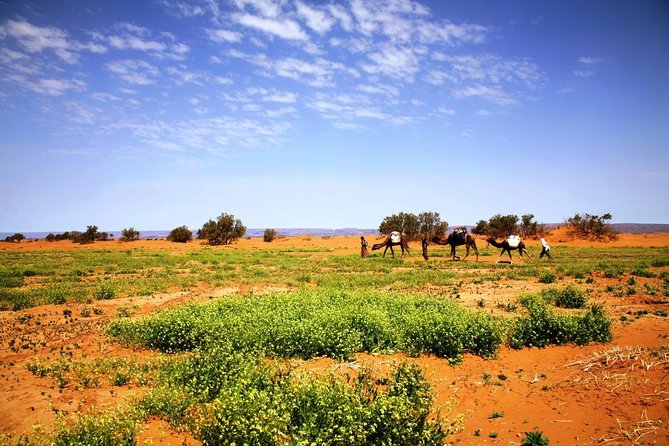 Private 3-Days Desert Tour From Zagora to Erg Chigaga Dunes & Camel Trek - Inclusions and Logistics