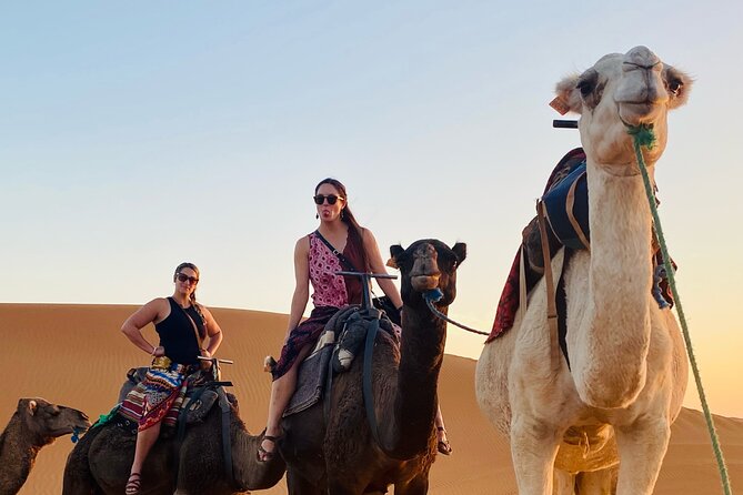 Private 4 Days Tour From Marrakech to Fes Via Merzouga Desert - Customer Reviews