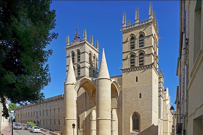 Private 4-Hour City Tour of Montpellier With Hotel Pick-Up and Drop off - Tour Accessibility