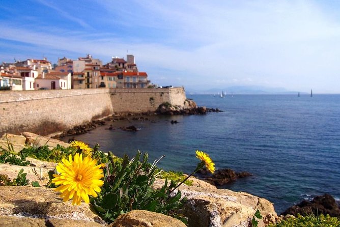 Private 4-Hour Tour of Cannes and Antibes From Cannes With Private Driver - Tour Overview