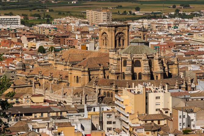 Private 4 Hour Walking Tour of Granada (Tickets to Cathedral and Royal Chapel) - Logistics and Convenience