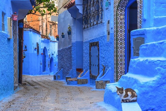 Private 6-Days Tour From Casablanca to Chefchaouen -Fes-Merzouga and Marrakech - Tour Highlights