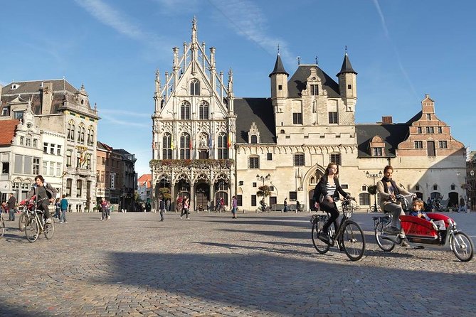 Private 8-Hour Excursion to Mechelen and Leuven From Brussels With Hotel Pick up - Inclusions and Exclusions