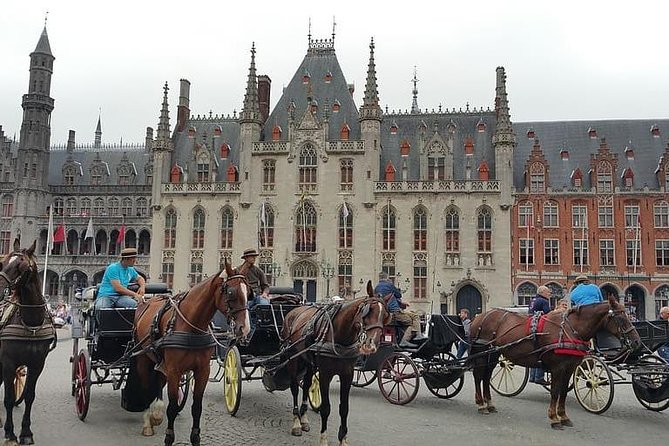 Private 8-Hour Tour to Bruges From Brussels With Driver and Guide (In Bruges) - Inclusions and Exclusions