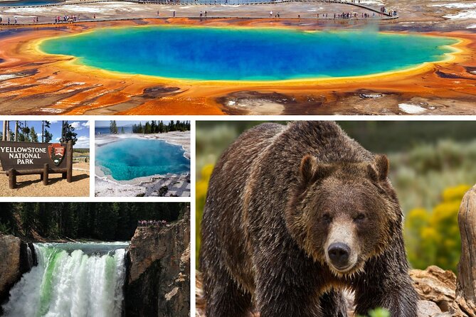 Private All-Day Tour of Yellowstone National Park - Logistics and Cancellation Policy